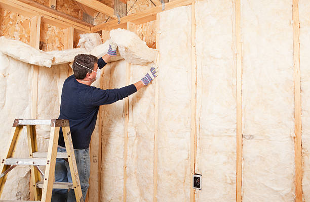 Best Attic Insulation Installation  in Wyoming, MN